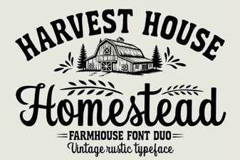 Homestead Font Design Trends and Creative Uses